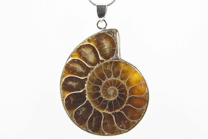 Fossil Ammonite Pendant - Million Years Old #306450